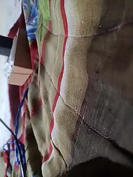 Telugu person12 online show from 16, 2, 2026