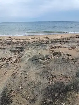 Vogliogodere123 online show from 6, 5, 2026