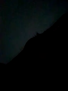 CatchingBouquet online show from 21, 9, 2025