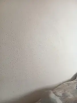 brokoli2 online show from 17, 4, 2026