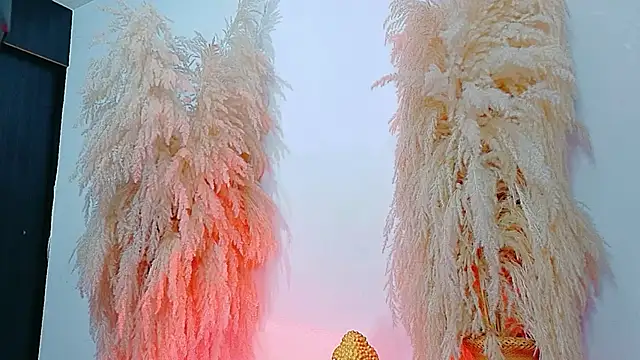 JulietaDavis online show from 4, 2, 2026