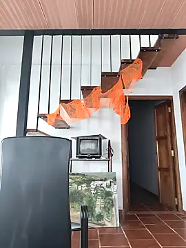 Snapshot of Hiroshi_Shen chatting on 2, 11, 2025 Hiroshi Shen online show from 2, 11, 2025