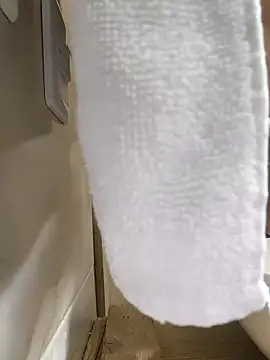 Snapshot of Hiroshi_Shen chatting on 27, 11, 2025 Hiroshi Shen online show from 27, 11, 2025