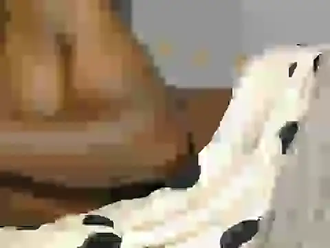 AfricanDickza online show from 28, 5, 2026