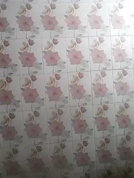 Snapshot of bhaijaan66 chatting on 25, 11, 2025 bhaijaan66 online show from 25, 11, 2025