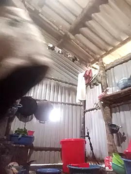 Snapshot of jienrrr chatting on 17, 12, 2025 jienrrr online show from 17, 12, 2025