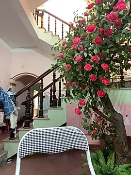 Snapshot of Bollozzy_89 chatting on 24, 9, 2025 Bollozzy 89 online show from 24, 9, 2025