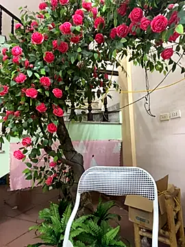 Snapshot of Bollozzy_89 chatting on 29, 9, 2025 Bollozzy 89 online show from 29, 9, 2025