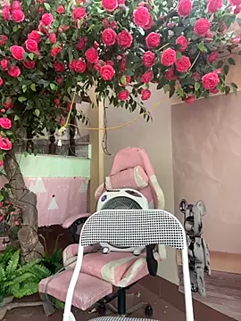 Snapshot of Bollozzy_89 chatting on 4, 10, 2025 Bollozzy 89 online show from 4, 10, 2025