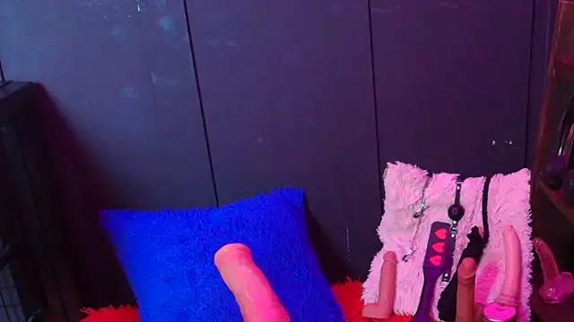 Meghan storm online show from 22, 11, 2025