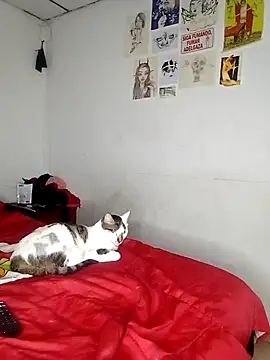 Snapshot of venusobryan_55 chatting on 18, 9, 2025 venusobryan 55 online show from 18, 9, 2025