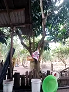 Snapshot of BigBoobs186 chatting on 18, 10, 2025 BigBoobs186 online show from 18, 10, 2025