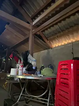 ThiHa003 online show from 18, 1, 2026