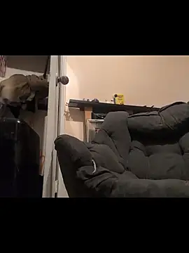 Cnutt310 online show from 14, 12, 2025