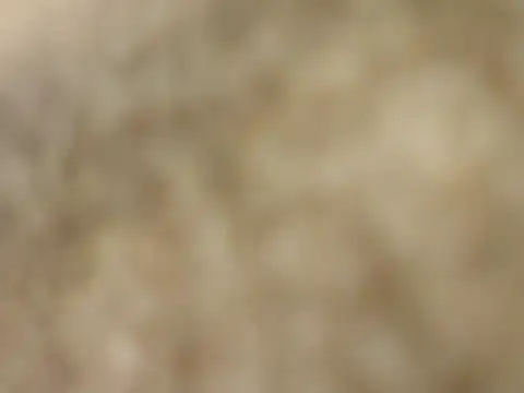 boy8540 online show from 14, 3, 2026