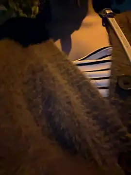 Meii-meyy online show from 16, 1, 2026