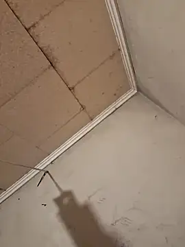 Tudiablita21 online show from 6, 4, 2026