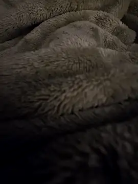 Gayboy23200 online show from 11, 3, 2026