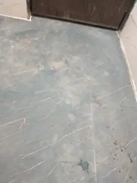 Wet BunnyFun online show from 13, 4, 2026