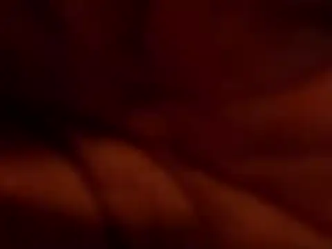 Snapshot of TRANSPORNIDOL chatting on 22, 11, 2025 TRANSPORNIDOL online show from 22, 11, 2025