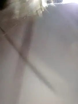 daisy will online show from 3, 12, 2025