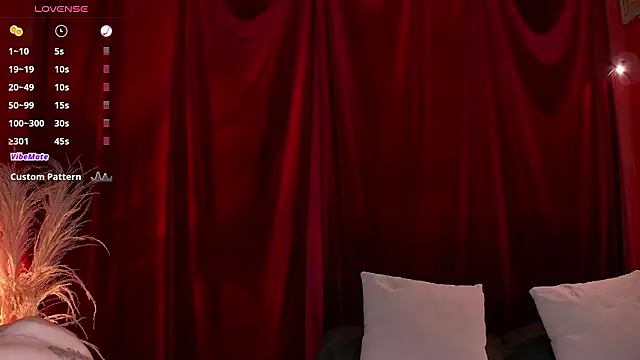 VicenteFerrer online show from 1, 2, 2026