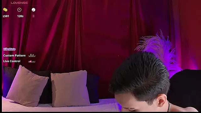 Snapshot of VicenteFerrer chatting on 20, 6, 2026 VicenteFerrer online show from 20, 6, 2026