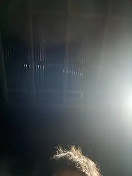 Snapshot of usu0130 chatting on 16, 10, 2025 usu0130 online show from 16, 10, 2025