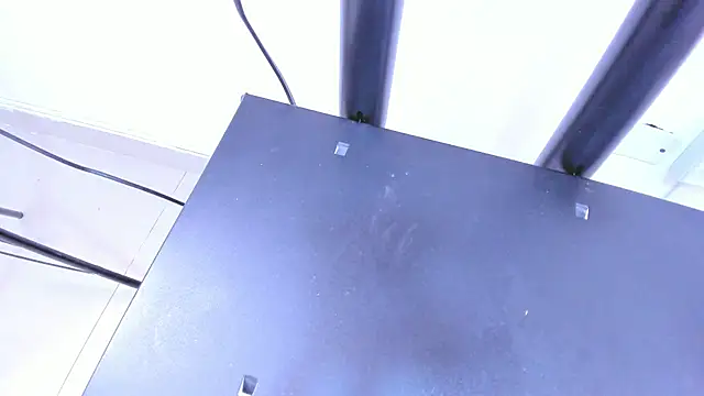 DaylesAndHarry online show from 12, 9, 2025