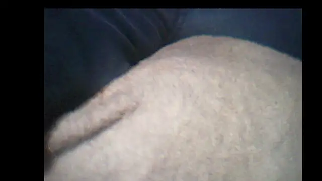 Snapshot of pietje1991 chatting on 14, 12, 2025 pietje1991 online show from 14, 12, 2025