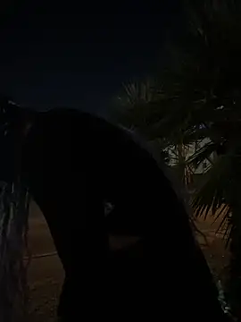 TranSexualJade95 online show from 1, 11, 2025