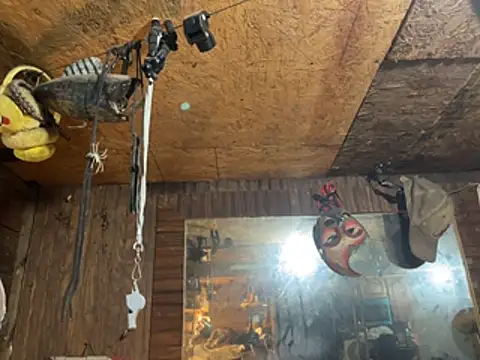 itsus2 online show from 16, 3, 2026