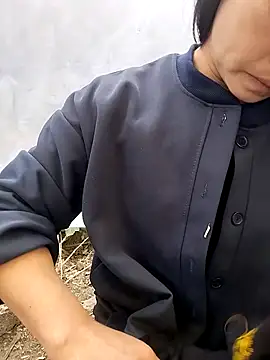 Tiyir597 online show from 12, 2, 2026