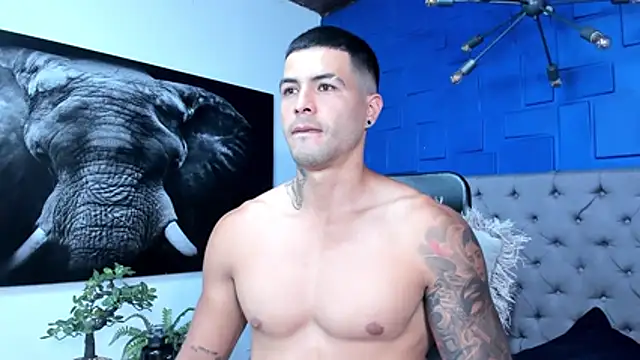 andres-clark92 online show from 17, 12, 2025