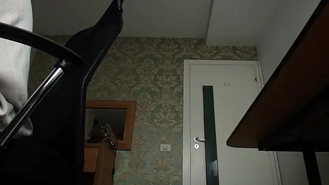 Snapshot of FelixStarkk chatting on 7, 11, 2025 FelixStarkk online show from 7, 11, 2025