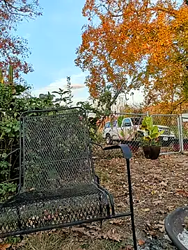 Snapshot of sizableunicorn7 chatting on 6, 11, 2025 sizableunicorn7 online show from 6, 11, 2025