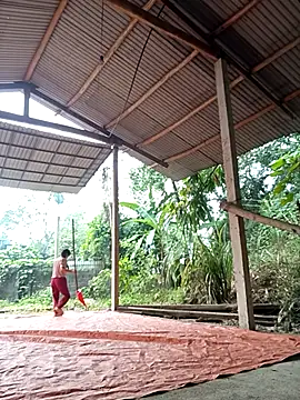 Snapshot of NG_N chatting on 17, 11, 2025 NG N online show from 17, 11, 2025