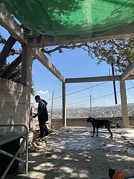 Shankortiz online show from 6, 4, 2026