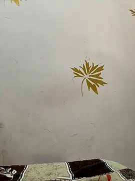 modelnishu online show from 17, 10, 2025