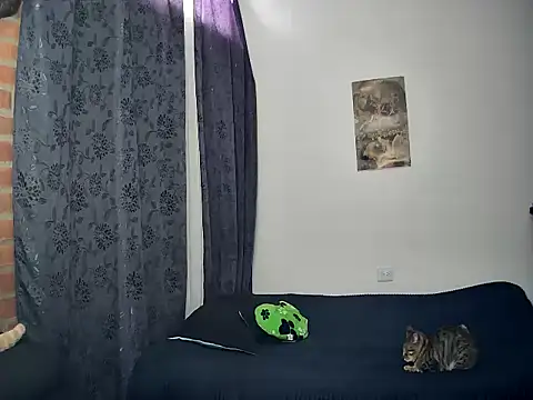 Snapshot of juantalents chatting on 15, 10, 2025 juantalents online show from 15, 10, 2025