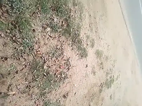 Snapshot of SAManthapathmasri chatting on 17, 11, 2025 SAManthapathmasri online show from 17, 11, 2025