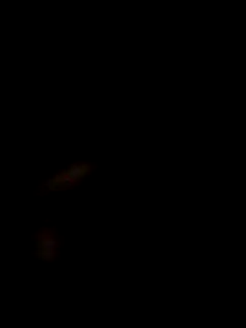 Snapshot of SofieLove_01 chatting on 1, 12, 2025 SofieLove 01 online show from 1, 12, 2025