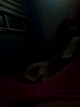 Snapshot of Pillate069 chatting on 2, 3, 2026 Pillate069 online show from 2, 3, 2026