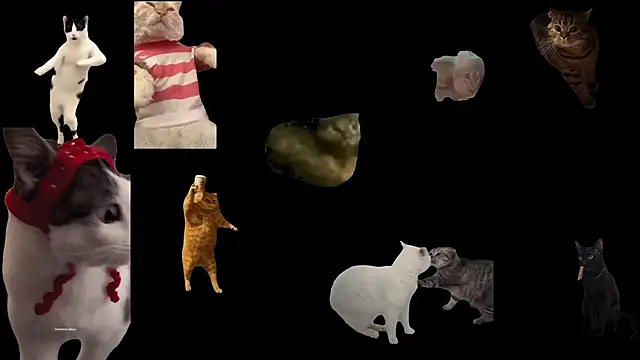 ch0wn m online show from 18, 11, 2025