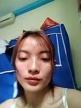 tdtd98 online show from 5, 4, 2026