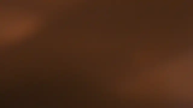 Snapshot of WILD_FIREE_ chatting on 12, 10, 2025 WILD FIREE online show from 12, 10, 2025