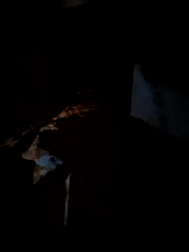 Real Sucker online show from 15, 3, 2026