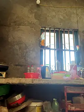 Sunny lotus online show from 1, 12, 2025