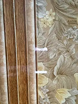 Julia-Elsa online show from 2, 11, 2025