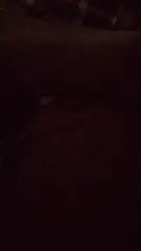 wanderboy1000 online show from 19, 1, 2026